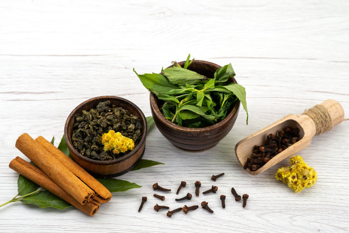 The Herbal Renaissance: Rediscovering the Power of Nature